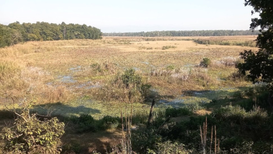शुक्लाफाँटाको रानी ताल पुरिँदै जाँदा प्राकृतिक स्वरूप संकटमा