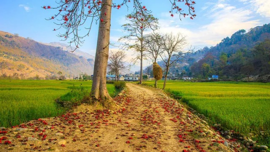 फाइल फोटो 