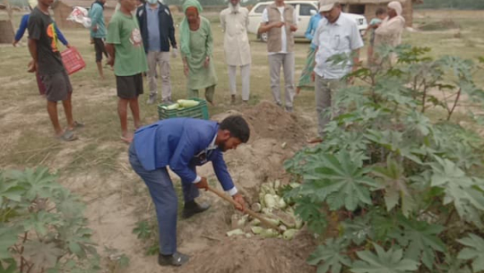 भारतीय नागरिकले कैलालीमा उत्पादन गरेको तरकारीमा अत्यधिक विषादी