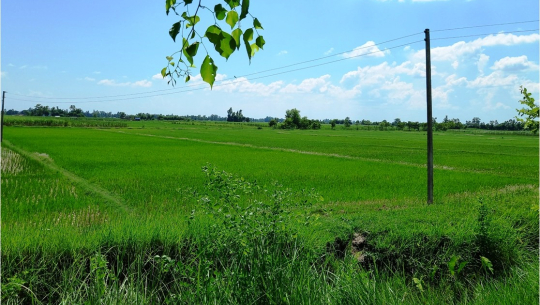 फाइल फोटो