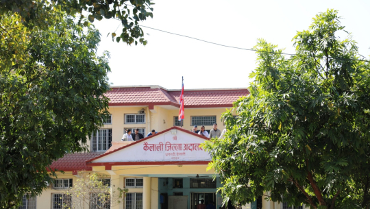 कैलालीका २५१ किसान सुरो नेपालबाट ठगिए, अदालतमा १० वटा मुद्‍दा