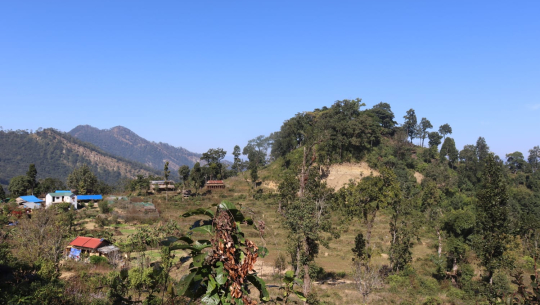 कैलालीको ऐतिहासिक धुलीकोट दरबार क्षेत्रका पुरातात्िवक सम्पदाको संरक्षणका लागि पुरातत्व विभागले औपचारिक रूपमा अध्ययन तथा तथ्याङ्क सङ्कलन  