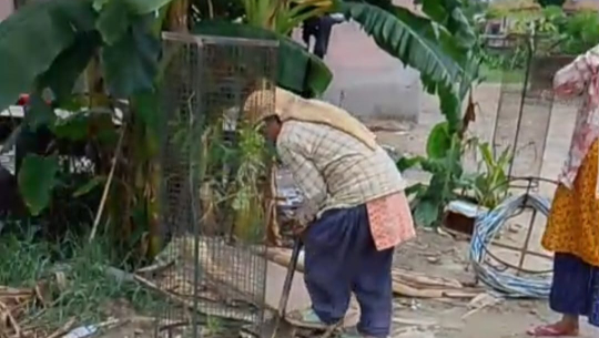 धनगढी उपमहानगरपालिकाद्वारा ऎश्वर्या विद्या निकेतन परिसरमा वृक्षारोपण