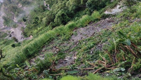 पुर्चौडीमा अविरल वर्षाले मकैबालीमा क्षति, दर्जनभन्दा बढी परिवार प्रभावित