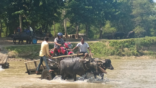 शिवगंगा नदीमा पुल नहुँदा धनगढीका बासिन्दालाई सास्ती