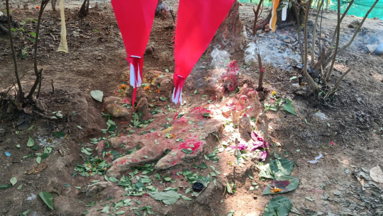 अत्तरियामा देवीदेवताको थान फेला परेको विश्वास, संरक्षणमा जुटे स्थानीय