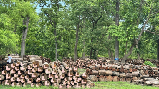 Forest management disputes escalate in Far-west as consumer groups launch protest