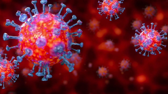 भारतबाट फर्किएका २ जनामा कोरोना संक्रमण पुष्टि