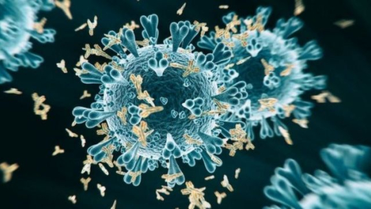 १७ मा कोरोना भाइरस सङ्क्रमण पुष्टि