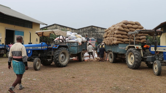 कैलालीमा खाद्यले उत्पादनको २ प्रतिशत धान पनि किन्न सकेन