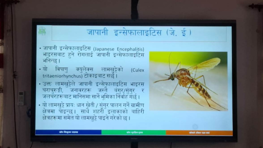 कैलालीका तीन पालिकामा जेईविरुद्ध खोप अभियान, १ लाख ८२ हजारलाई खोप लगाइने 