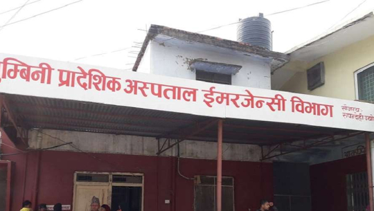 जंगली च्याउ खाएपछि ९ जना बिरामी, पाँच बेहोस