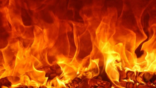 डडेलधुराको एक सामुदायिक वनमा आगलागी