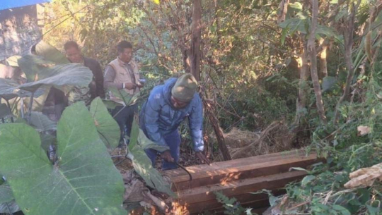 कैलालीमा अवैध काठ बरामद