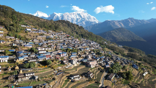 तस्बिर : शेरबहादुर सार्की 