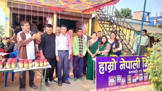 धनगढीका नन्दभाउजूको 'हाम्रो नेपाली मिठो अचार'