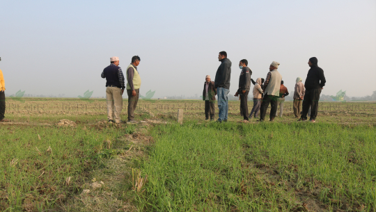 धनगढी विमानस्थाल वरपर जग्गामा रेखाङ्कन गर्दै कस्ले गाढ्यो पिल्लर ?