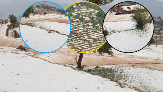 Hailstorm with strong winds damages crops in Baitadi, farmers express concern