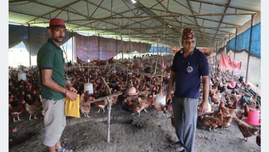 सुदूरपश्चिम विश्वविद्यालयका प्राध्यापकको कृषि मोह