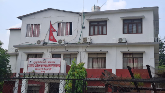 कैलालीमा वन पैदावार विक्रीवितरण खुल्यो, 'डिएफओ'को रिसले लागेको थियो प्रतिबन्ध