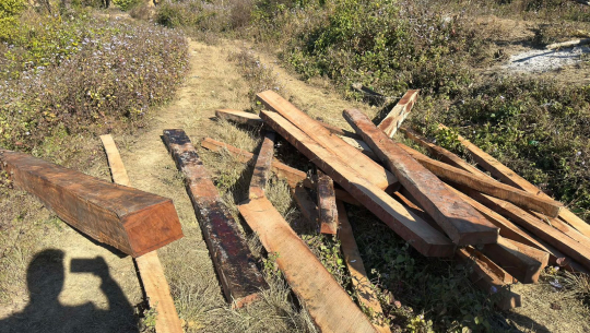 कैलालीको मोहन्याल गाउँपालिका राजकाँडा वनक्षेत्रबाट अवैध काठ बरामद