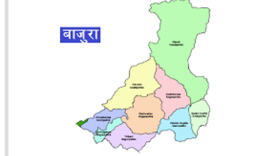 बाजुरामा फैलिएको भाइरल ‘इन्फुल्जा ए भाइरस’रहेको पुष्टि