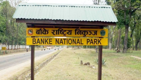 पर्यटन प्रवर्द्धन अभियानमा बाँके निकुञ्ज