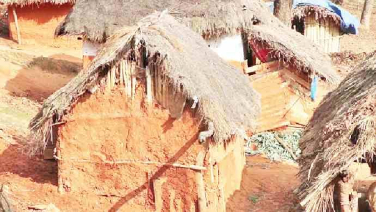 कैलालीका सुकुम्बासीलाई हरेक निर्वाचनमा लालपुर्जाको आश्वासन