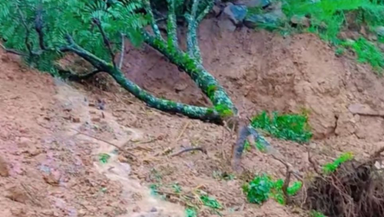 पुर्चौडीमा पहिरोका कारण जमिन भासिएपछि स्थलगत निरीक्षणको माग