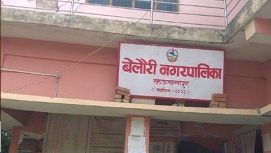कञ्चनपुरको बेलौरीमा भोलि स्थानीय बिदा