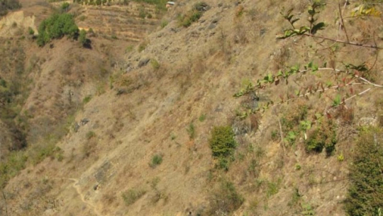 भिरबाट लडेर बैतडीमा तीन जनाको मृत्यु