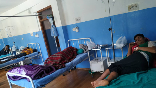 विषालु च्याउ खाँदा एकै परिवारका तीनसहित चारजना बिरामी