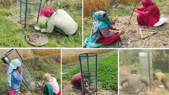 Dhangadhi’s greenery campaign expands with 1,365 more saplings planted