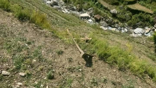 बझाङका सुका ऐडीको जोत्दै गरेको गोरुसहित लड्दा मृत्यु