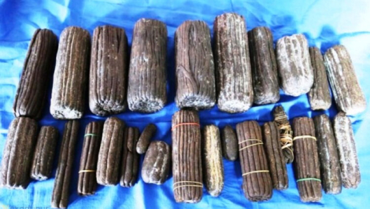 अत्तरियाको होटलबाट दुई किलोभन्दा बढी चरेससहित दुई जना पक्राउ