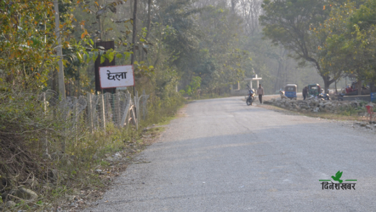 दैजी–छेला औद्योगिक क्षेत्र शिलान्यासको एक वर्ष, रुख गणना पूरा भएन