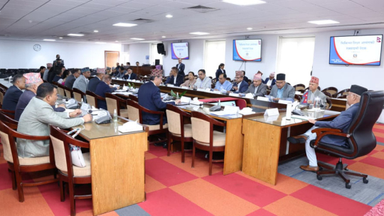 मेडिकल कलेजको सिट बढ्यो, एमबीबीएसमा १३० र बीडीएसमा ६० पुर्याउने निर्णय