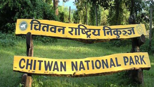 चितवन राष्ट्रिय निकुञ्जमा पर्यटकीय गतिविधि खुला