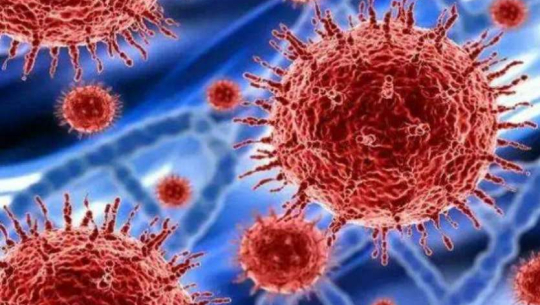 युएईमा कोरोनाबाट एक नेपालीको मृत्यु