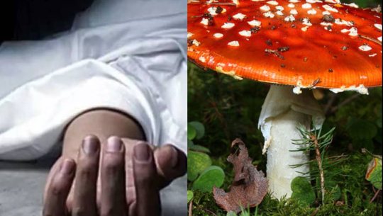 डडेलधुरामा विषालु च्याउ खाँदा एक जनाको मृत्यु