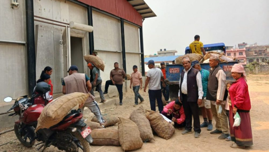 प्रयोगमा आयो शीतभण्डार, धमाधम आलु भण्डारण गरिँदै