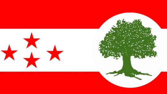 सन् २०४५ सम्म ‘नेटजिरो उत्सर्जन’ राष्ट्र बनाउने काँग्रेसको प्रतिबद्धता