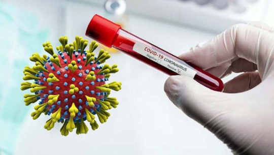 थप १५ मा कोरोना सङ्क्रमण पुष्टि