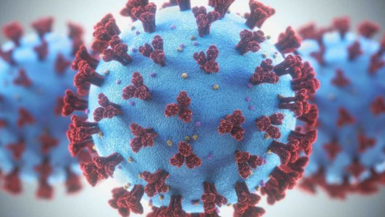 कोरोनाका कारण एकै दिन पाँचको मृत्यु