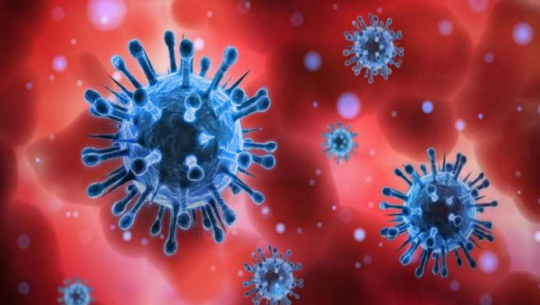 देशभर पछिल्लो २४ घण्टामा थप १२७ जनामा कोरोना सङ्क्रमण पुष्टि