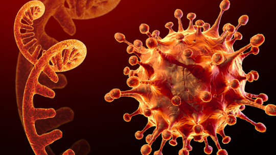 देशभर थप ४९ जनामा कोरोना संक्रमण पुष्टि 