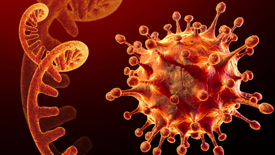 देशरभर थप २६३ जनामा कोरोना संक्रमण