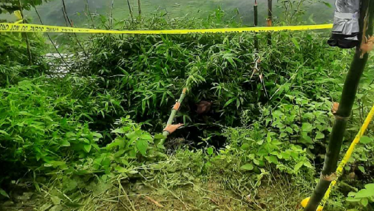डोटीमा घाँस काट्न गएका पुरुषको करेन्ट लागेर मृत्यु