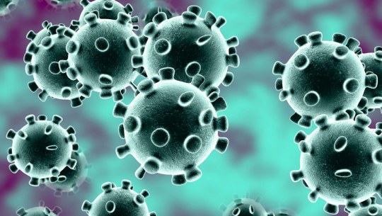 नेपालमा पनि भेटियो ‘कोरोना भाइरस’ संक्रमित