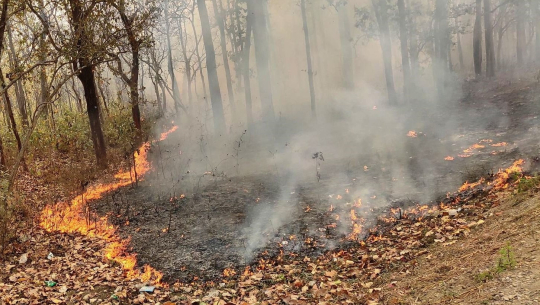 फाइल फोटो